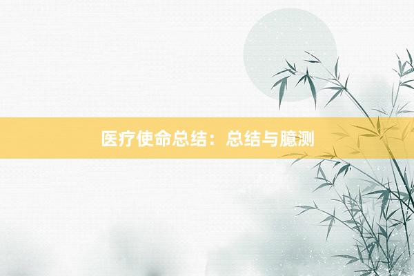 医疗使命总结：总结与臆测