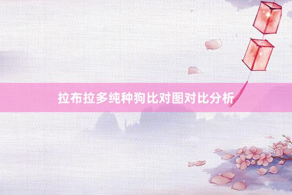 拉布拉多纯种狗比对图对比分析