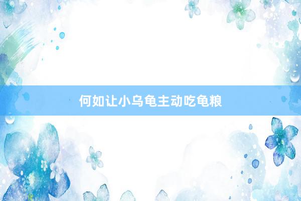 何如让小乌龟主动吃龟粮