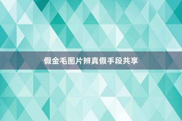 假金毛图片辨真假手段共享